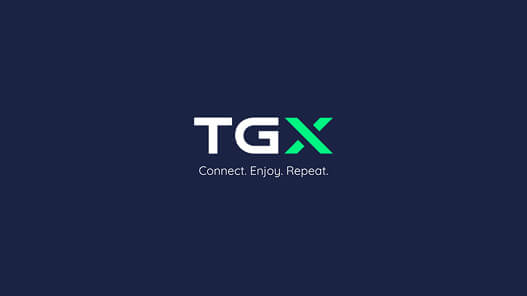 imagem pagina the gamer exchange